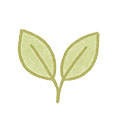 葉のイラスト